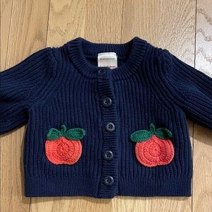 Hanna Andersson sweater with pumpkins